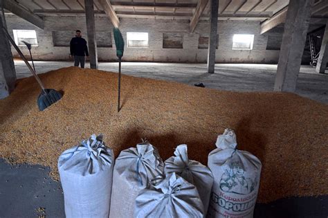Grain debacle makes mockery of EU support for Ukraine
